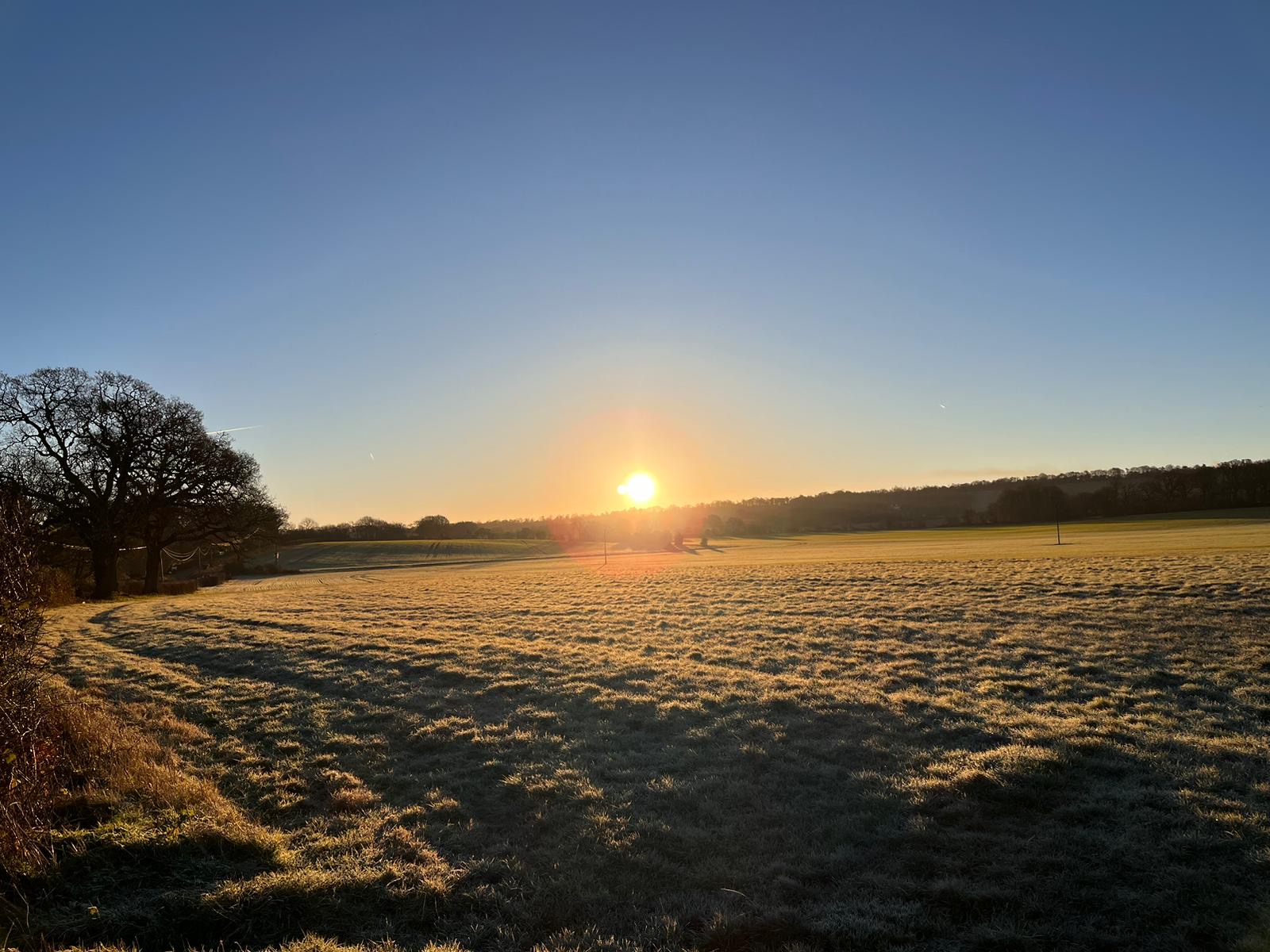 Relaxing field for Meditation Workshop in Guildford